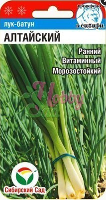 Лук батун Алтайский (0,5г) (Сибирский сад) 