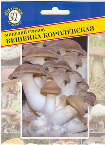 Мицелий грибов Вешенка королевская (12 палочек) (Престиж)