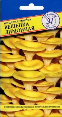 Мицелий грибов Вешенка лимонная (12 палочек) (Престиж) 