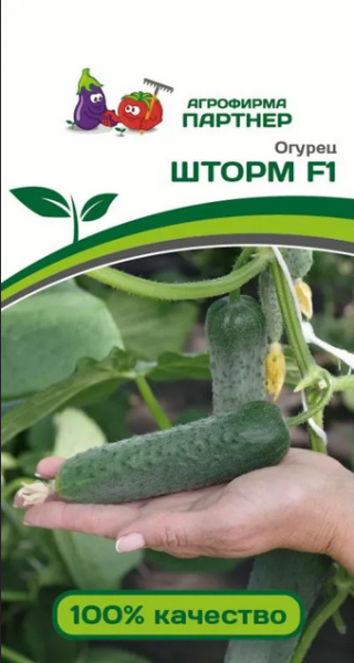 Огурец Шторм F1 (5шт) (Партнер) 