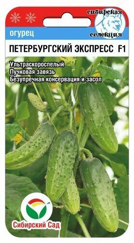 Огурец Петербургский экспресс F1 (7шт) (Сибирский сад)