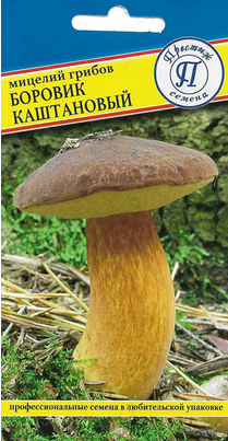 Мицелий грибов Боровик каштановый 60мл (Престиж)