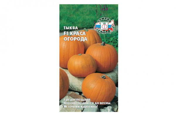 Тыква Краса Огорода F1 (Седек)