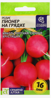 Редис Пионер на грядке (1гр) (Сем Алтая) 10215915