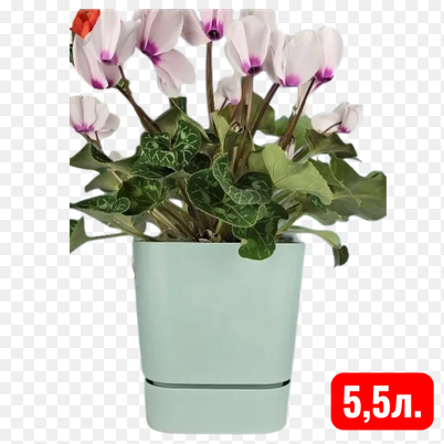Горшок с подд Квадрат Гранд 5,5л 19*19*20,5см мята