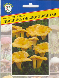 Мицелий грибов Лисичка обыкновенная 50мл (Престиж)
