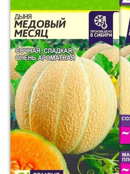 Дыня Медовый Месяц (0,5гр) (Сем Алтая)