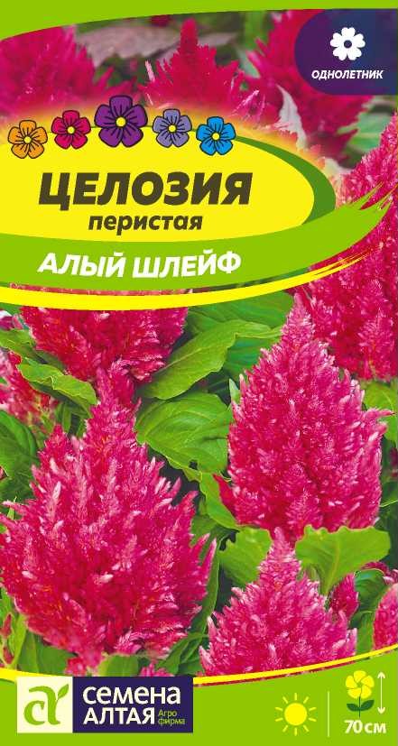 Целозия Перистая Алый шлейф (0,05гр) (Сем Алтая)