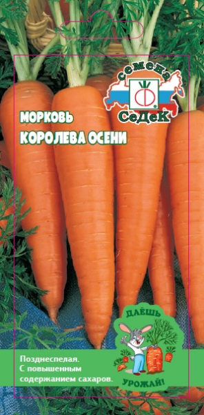 Морковь Королева Осени ДУ (Седек)