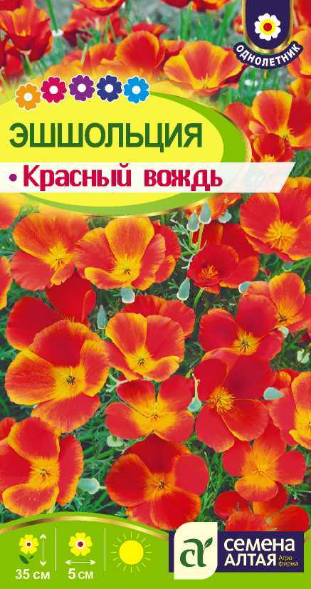 Эшшольция Красный вождь (0,1гр) (Сем Алтая)