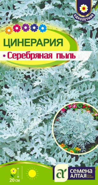 Цинерария Серебряная пыль (0,05гр) (Сем Алтая)