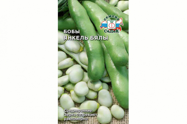 Бобы Янкель Бялы (Седек)