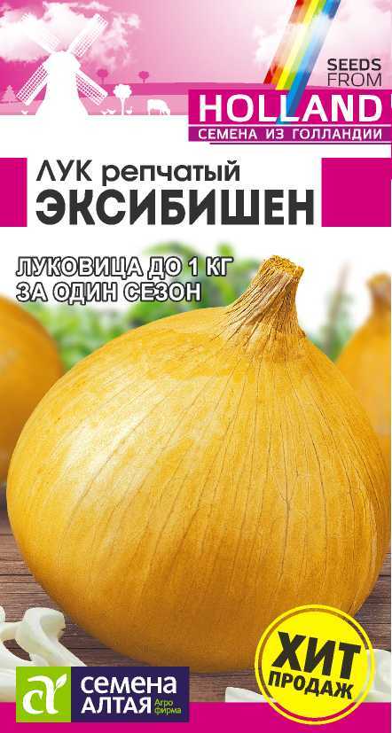 Лук репчатый Эксибишен (0,2гр) (Сем Алтая) Голланд семена