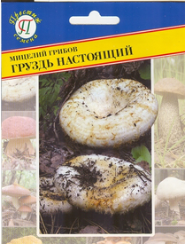 Мицелий грибов Груздь настоящий (50мл) (Престиж)