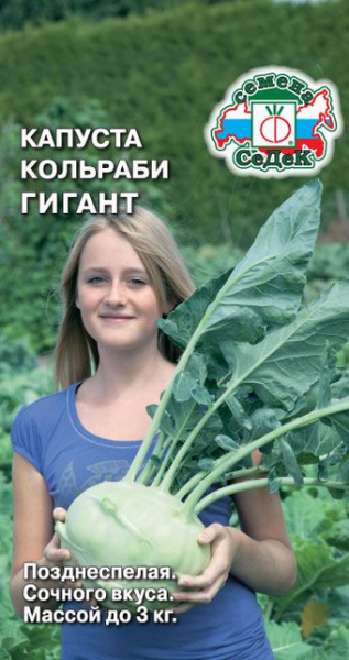 Капуста кольраби Гигант (Седек)
