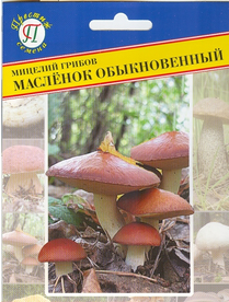 Мицелий грибов Масленок обыкновенный (50мл) (Престиж)