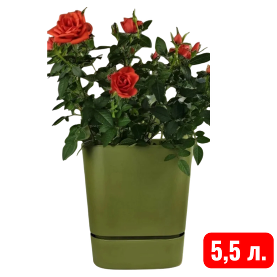 Горшок с подд Квадрат Гранд 5,5л 19*19*20,5см папоротник
