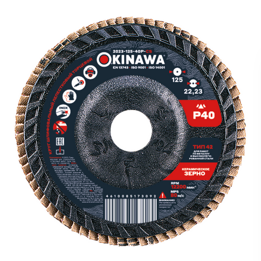 Круг шлифовальный OKINAWA High Power лепестковый 2023-125-60P-HPS