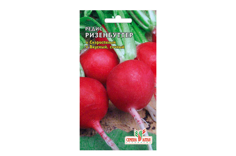 Редис Ризенбуттер (2гр) (Сем Алтая) 