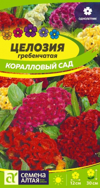 Целозия Коралловый Сад гребенчатая (0,1гр) (Сем Алтая)