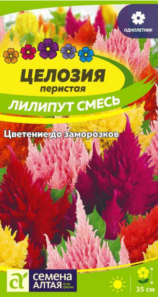 Целозия Перистая Лилипут (0,1гр) (Сем Алтая)