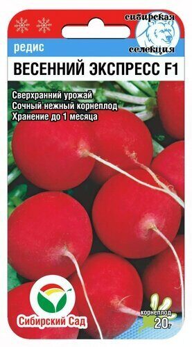 Редис Весенний экспресс F1 (1г) (Сибирский сад) 