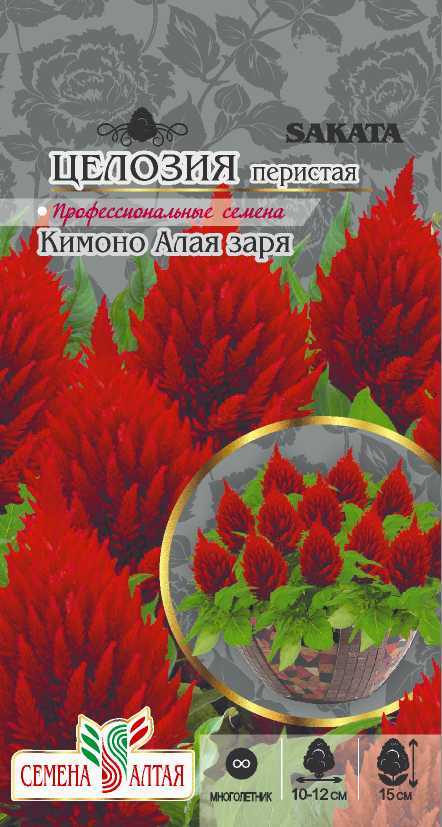 Целозия Перистая Кимоно Алая заря (7шт) (Сем Алтая)