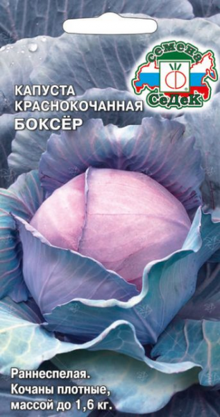Капуста Боксёр (К/К) (Седек)
