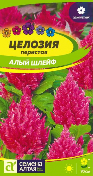 Целозия Перистая Алый шлейф (0,05гр) (Сем Алтая)