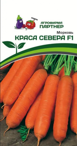 Морковь Краса севера F1 (0,5гр) (Партнер)