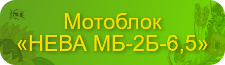 btn_catalog_header(8).png
