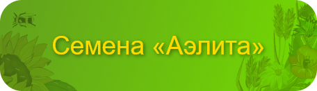 btn_catalog_header(4).png