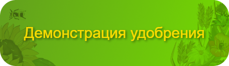 btn_catalog_header (1).png