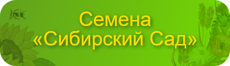 btn_catalog_header(5).png